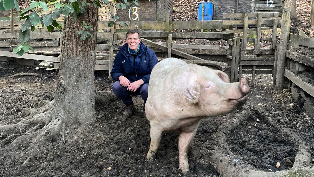 De dierenarts van Yorkshire